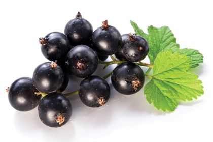 Obrázek MECSORBET ČERNÝ RYBÍZ 6 x 2 KG